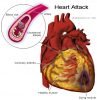 carnitina salud corazon