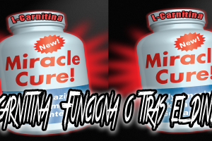 La carnitina funciona o no