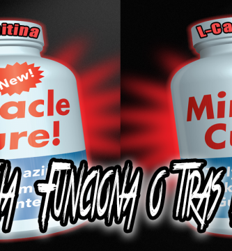 La carnitina funciona o no