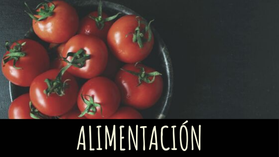 alimentacion saludable