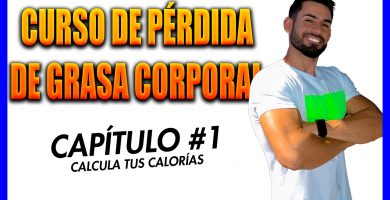 calculadora de calorias
