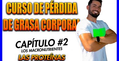 Curso perdida de grasa, las proteínas